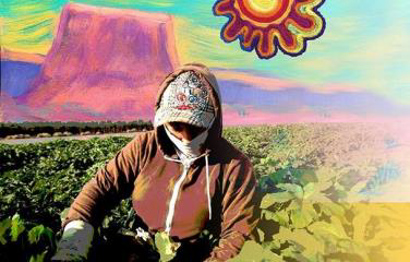 Población Jornalera Agrícola